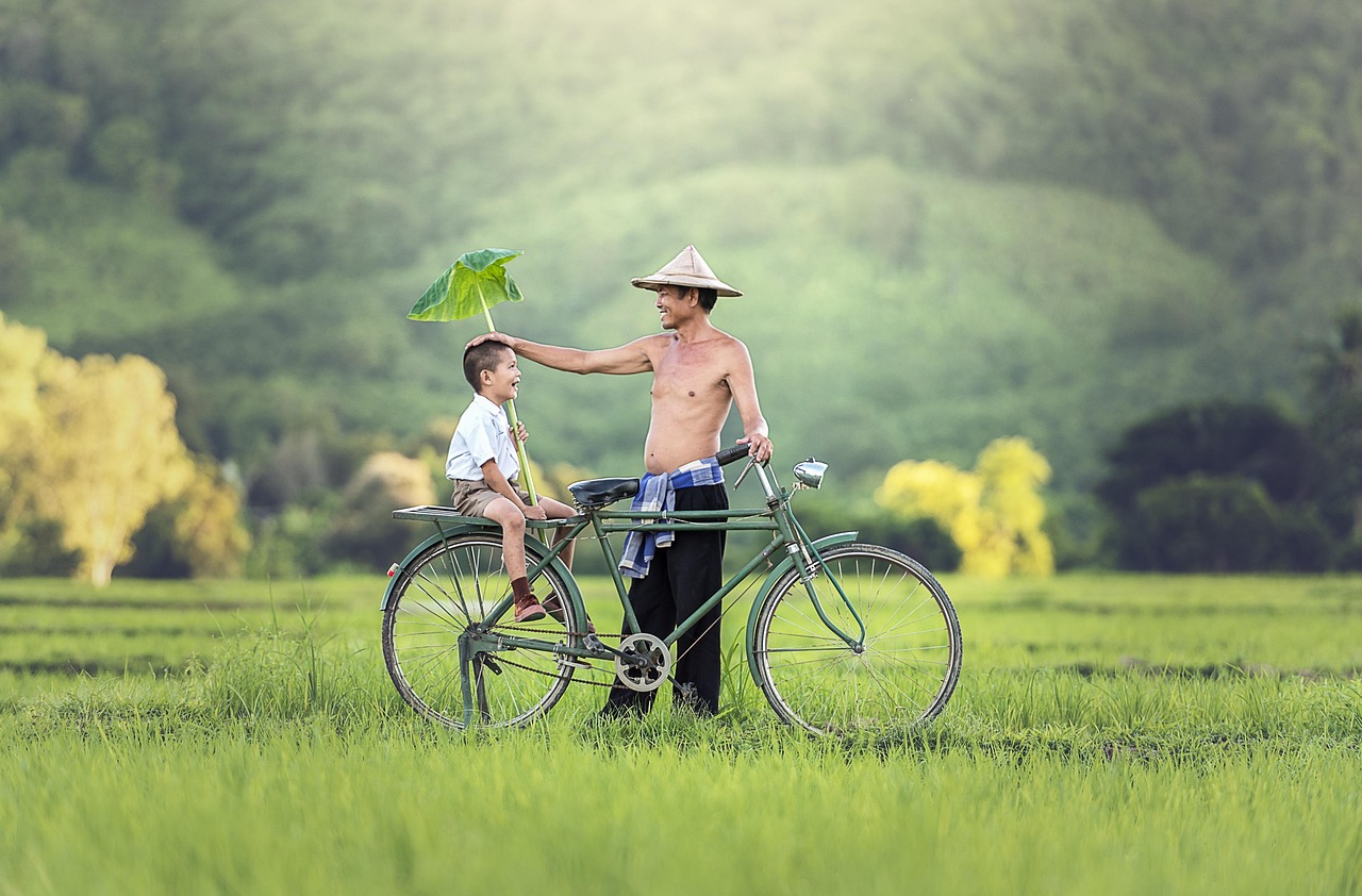 father, son, bicycle, relationship, parent, parenthood, bike, family, men, vietnamese, countryside, rice paddies, fathers day, father, father, father, bike, family, family, family, family, family, men, men, men, fathers day